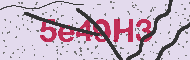 Captcha認証コード